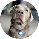 andrew roberts profile picture