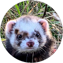 Magda M profile picture